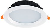 Ritm DL18891/24W White R Dim