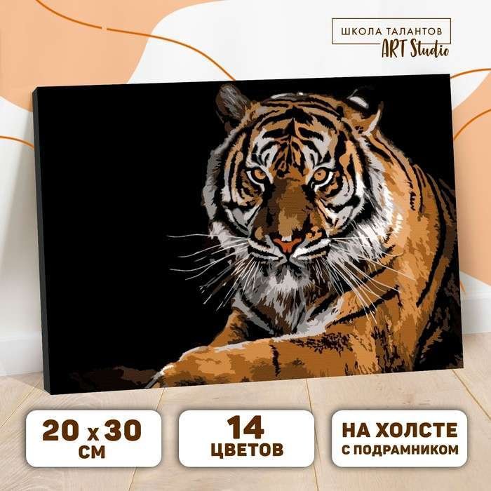 

Картина по номерам Школа талантов Тигр 5177165
