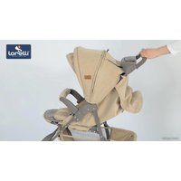 Коляска прогулочная «книга» Lorelli Daisy 2021 (розовый)