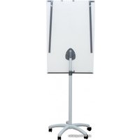 Магнитно-маркерная доска CACTUS CS-FCR-M67x105