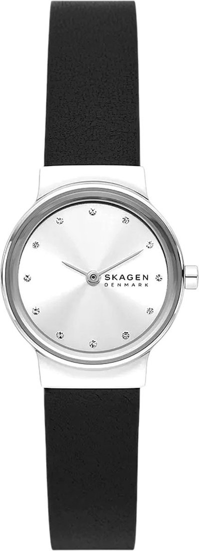 

Наручные часы Skagen SKW3119