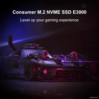 SSD Hikvision E3000 256GB HS-SSD-E3000/256G