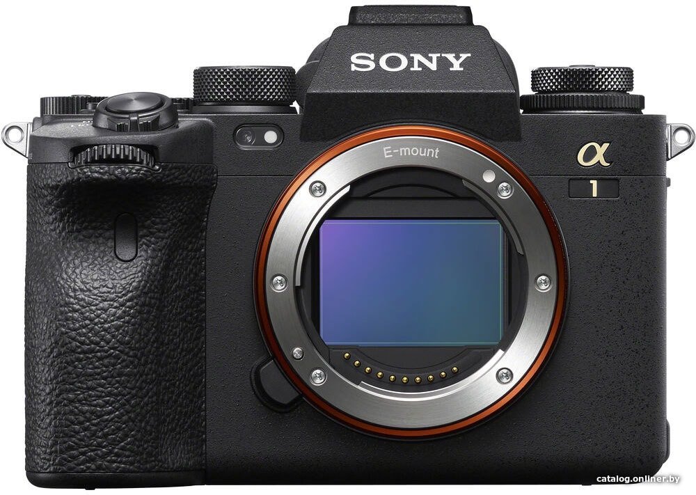 Беззеркальный фотоаппарат Sony Alpha a1 Body (черный)