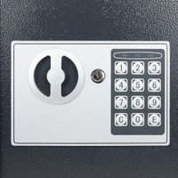 Мебельный сейф Daswerk SC-300EL 291346