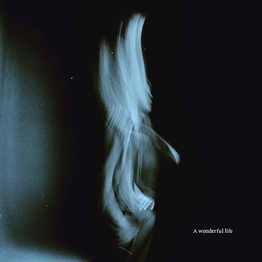 

Виниловая пластинка Tom Odell ‎- A Wonderful Life