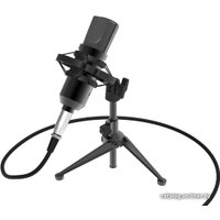 Проводной микрофон Ritmix RDM-160