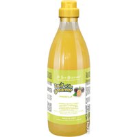 Шампунь Iv San Bernard Fruit Of The Groomer Maracuja Shampoo (1 л)