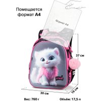 Школьный рюкзак SkyName set-R1-080