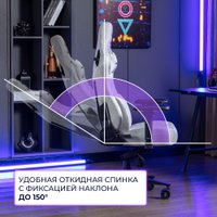 Игровое (геймерское) кресло Evolution Nomad PRO (черный/белый)