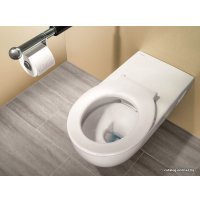 Унитаз подвесной Geberit Selnova Comfort 500.262.01.1 (без сиденья)