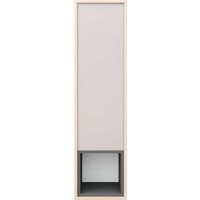 Шкаф распашной Аквилон Рэя №8.1 (туя светлый/кашемир)