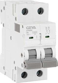

Выключатель автоматический GEYA GYM9H-2P-6D 2P 6A D 10kA 2M GYM9H2P6D