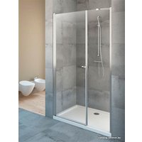 Душевая дверь Radaway Eos DWS 120 L