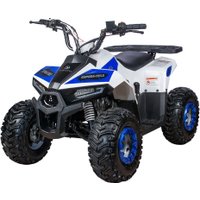 Квадроцикл Yacota Raposa 110 куб.см. (белый)