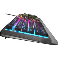 Клавиатура Genesis Rhod 300 RGB