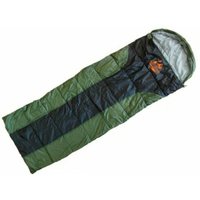 Спальный мешок Arizone Coyote Plus 28-170251