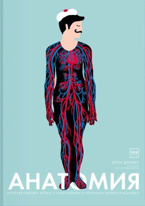 

Книга издательства МИФ. Анатомия. Детство 5-12 (Дрювер Э.)