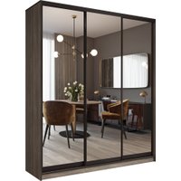 Шкаф-купе Евва АЭП ШК.3.01 233 TG.05 (дуб трюфель/зеркало/венге глянец)