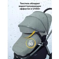 Универсальная коляска Rant Flex Therm RA112 (2 в 1, forest green)