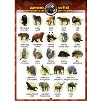 Книга издательства Знаток Говорящий англо-русский и русско-английский словарь (Бахметьев А.)