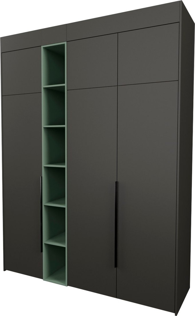 

Шкаф распашной Рэйгрупп Рэй S245-В7-1-WKZ В7-1 (дуб веллингтон/кобальт/зеленый самшит)