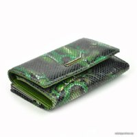 Кошелек Cedar Lorenti 55020-MSN-RFID (зеленый)