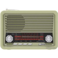 Радиоприемник Ritmix RPR-030 (золотистый)