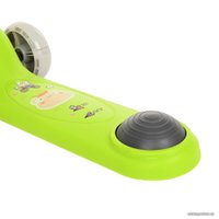 Трехколесный самокат Pituso HD-S808 (зеленый)