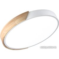 Светильник-тарелка In Home Scandy WoodD-120RCW 4690612047157 в Гомеле