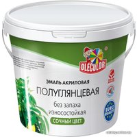 Эмаль Olecolor Полуглянцевая 800 г (белый)