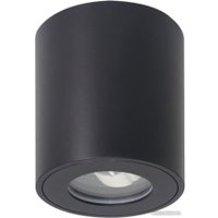 Точечный светильник Arte Lamp Tino A1469PL-1BK