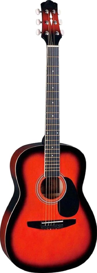 

Акустическая гитара Naranda CAG110BS