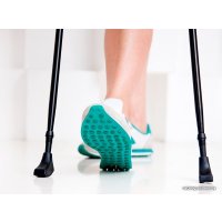 Палки для скандинавской ходьбы Gess Basic Walker GESS-919