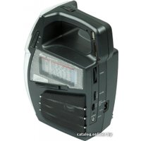 Радиоприемник Ritmix RPR-555