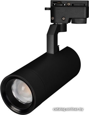 Трековый светильник Arlight LGD-GELIOS-2TR-R80-30W Day4000 031243