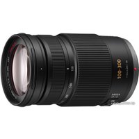 Объектив Panasonic LUMIX G VARIO 100-300mm F4.0-5.6 MEGA O.I.S. (H-FS100300)