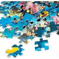 Пазл Dream Makers Океан RI1601C