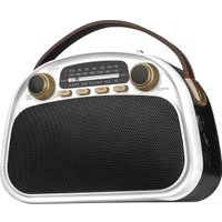 Радиоприемник Ritmix RPR-040 (белый)