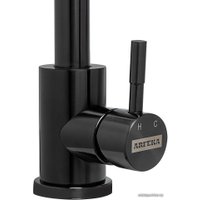Смеситель ARFEKA AF SD-01SS304 (black grafit)