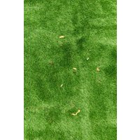 Щетка для электроинструмента Ryobi RAC823 5132004738