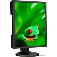 Монитор NEC MultiSync EA192M Black