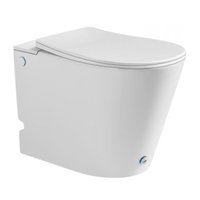 Унитаз приставной Roxen Turbo 620250-01 с импульсным смывом в Витебске