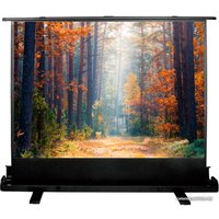 Проекционный экран CACTUS FloorExpert 150x200 CS-PSFLE-200X150