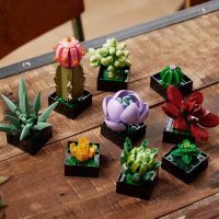 Конструктор King 8868 Суккуленты