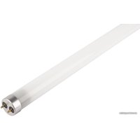 Светодиодная лампочка JAZZway PLED T8-1500GL 24w FR G13 6500K 1032553