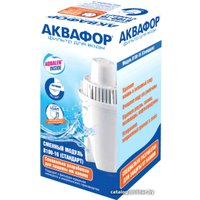 Картридж АКВАФОР В16 (В100-16)