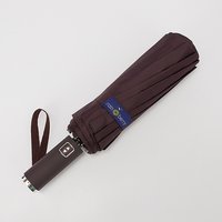 Зонт Rain Berry 734-31203.3 (фиолетовый)