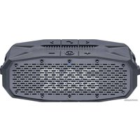 Беспроводная колонка Mac Audio BT Wild 601