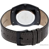 Наручные часы Skagen SKW6041