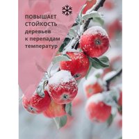 Краска Roccco Садовая 4кг